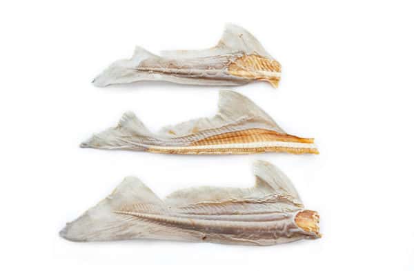 Sea Tail Chews for Dogs