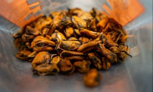 Mussel Super Food for Pets