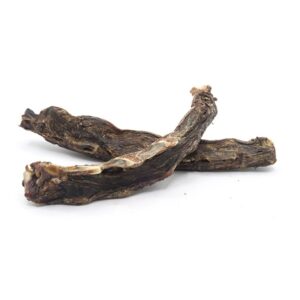 Kangaroo Lumbar