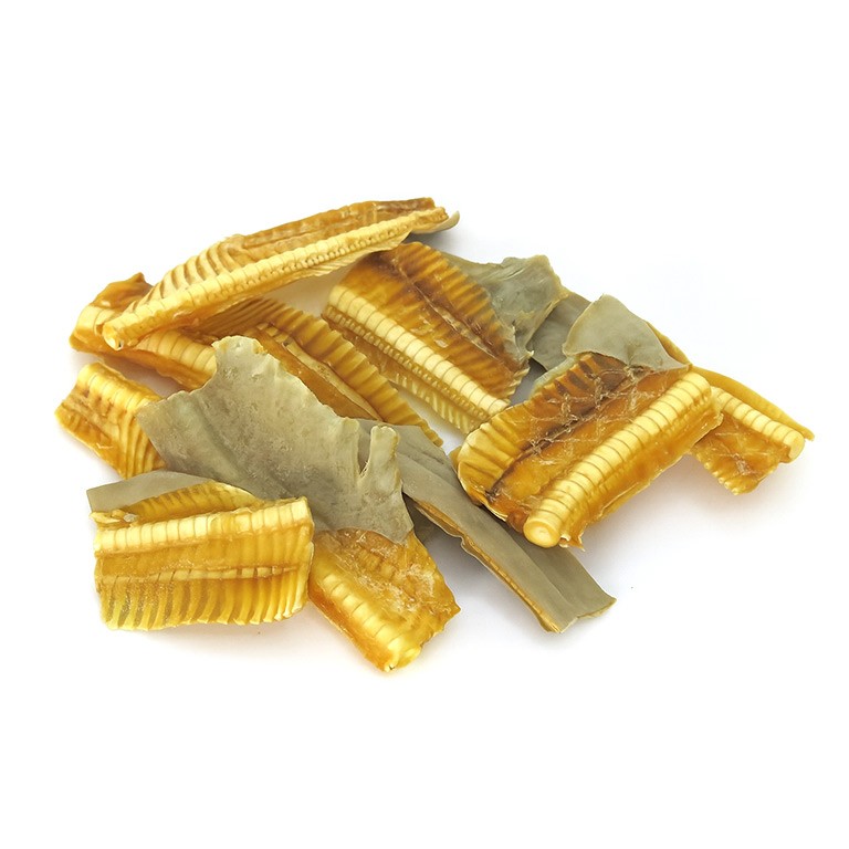 Sea Tail Chew Bits